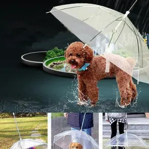 Dog Umbrella